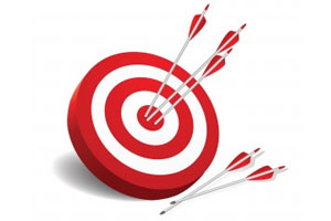 Performance-Review-and-Setting-of-Annual-Targets