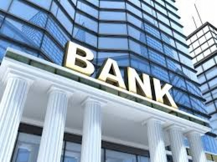 • Banks and Financial Institutions
